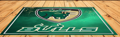 University Of South Florida