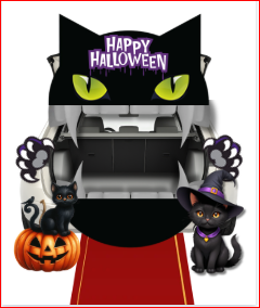 Black Cat